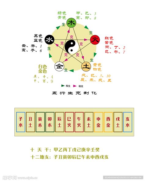 数字五行属什么